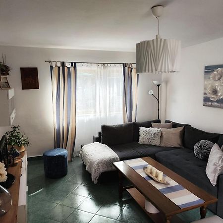 Apartment Mira Vrsar Εξωτερικό φωτογραφία