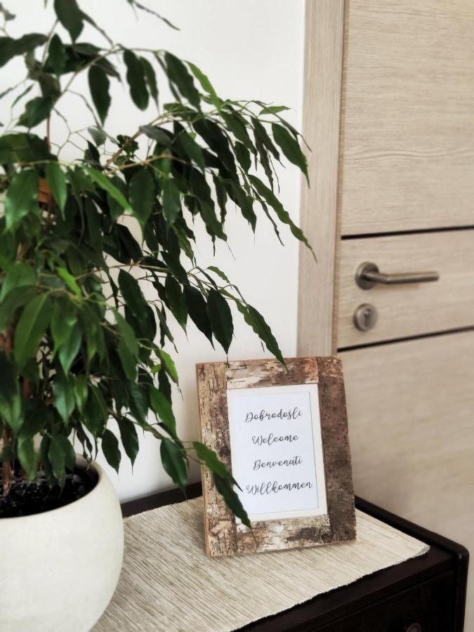 Apartment Mira Vrsar Εξωτερικό φωτογραφία