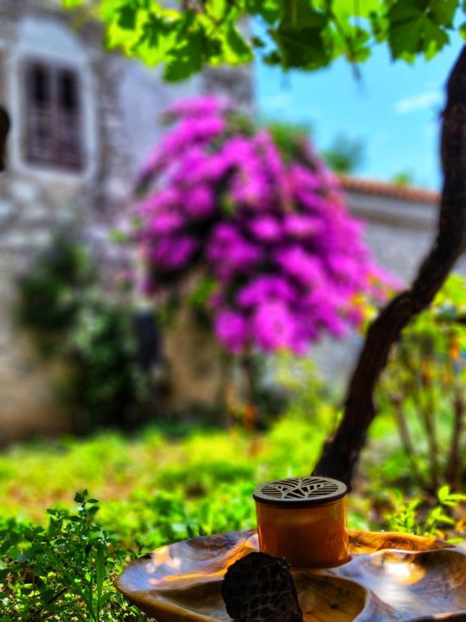 Apartment Mira Vrsar Εξωτερικό φωτογραφία