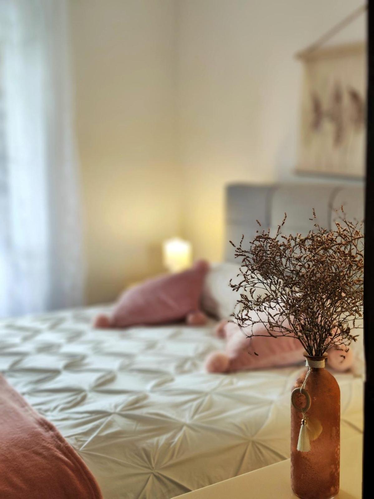 Apartment Mira Vrsar Εξωτερικό φωτογραφία