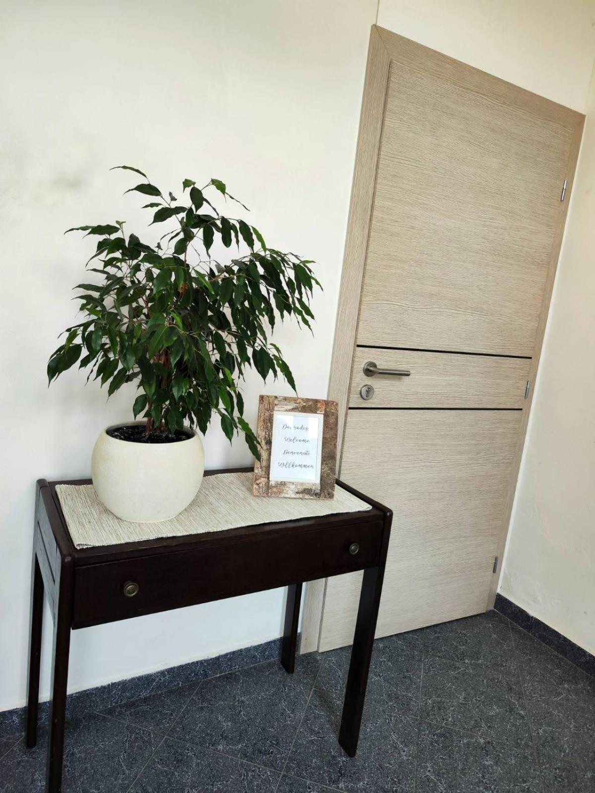 Apartment Mira Vrsar Εξωτερικό φωτογραφία
